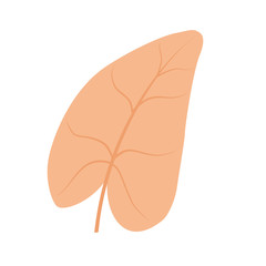 Abstract illustration of leaf. Organic concept style. Vector isolated on white