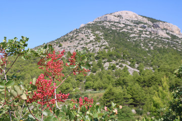 Vidova Gora in Croatia, Brac island, the highest mountain of Adriatic islands