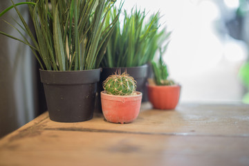 The background of a blurred counter, with a calculator, a barcode scanner, and a small tree placed on the table