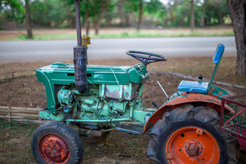 Obraz premium Blurred background of flowers, natural wallpaper in the park or decorative garden 