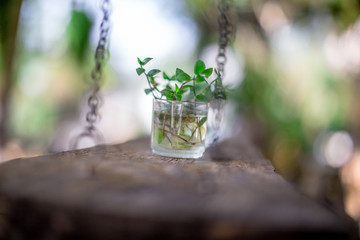 Blurred background of decorative items on wooden tables (flower vases, stones, newspapers, glassware) that are beautifully decorated to satisfy the customers who come to use in the shop.