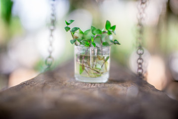 Blurred background of decorative items on wooden tables (flower vases, stones, newspapers, glassware) that are beautifully decorated to satisfy the customers who come to use in the shop.