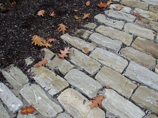 Leaves on the brick path in autumn