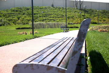 Bench in a city Park
