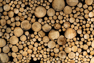 Stack of sawn logs. Natural wooden decor background.