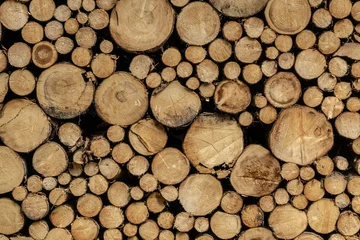 Möbelaufkleber Stack of sawn logs. Natural wooden decor background. © Normann