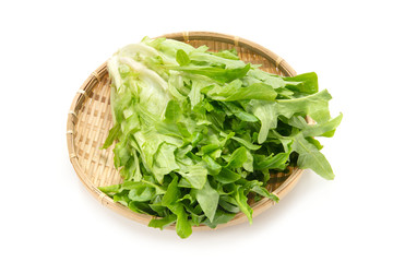 レタス修道士のあごひげ