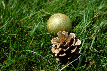 pine cones and christmas ball on the green grass in the  sunny day