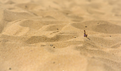 small people on sand desert journey travel fantasy leaving