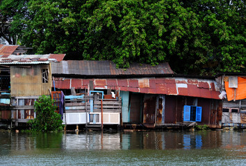 Fototapeta premium riverside old downgrade house from corrugated metal sheet under big tree