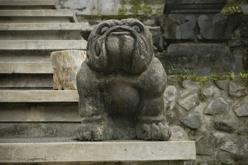 Cute and funny Bulldog sculpture. Statue guardian dog