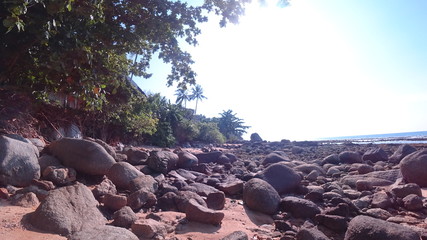 rocks in the sea