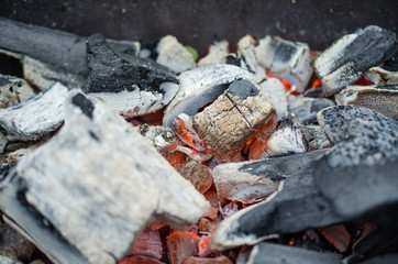 burnt firewood in grill