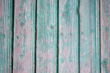 Fototapeta premium old blue turquoise wood wall texture