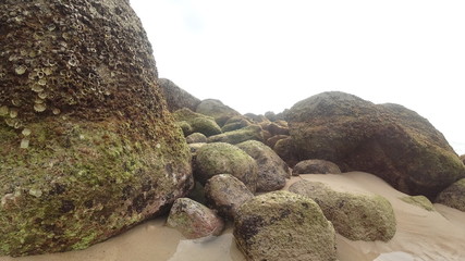rocks on the beach