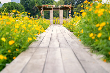 wooden bridge across beautiful flower garden
