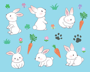 Obraz na płótnie Canvas Various poses of white bunny