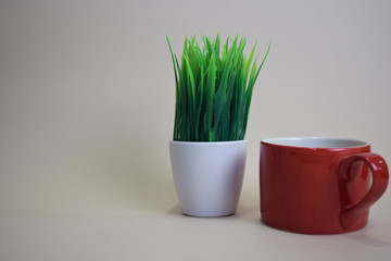 Coffee cup and grass pot isolated on brown background