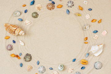 Seashells frame on beach sand background. Natural seashore textured surface, top view, copy space