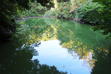 東京大学　三四郎池