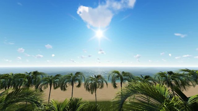 Sunny Sky And Beach With Palm Trees