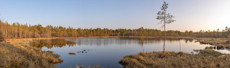 Nature panorama of Finnish lake and forest.