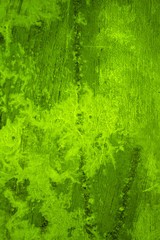 green grunge background
