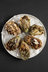 Fresh oysters on ice on gray plate over black surface, top view. Flat lay, overhead, from above. Close-up.