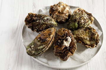 Fresh oysters on ice on a plate over white wooden background, side view. Close-up.