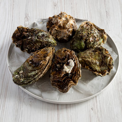 Fresh oysters on ice on a plate over white wooden background, side view. Close-up.