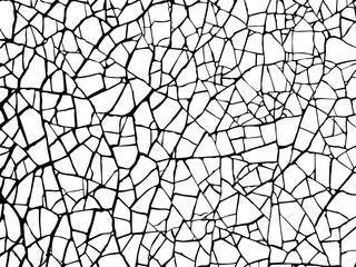 Obraz premium The cracks texture white and black. Vector background.Cracked earth. Structure of cracking. Cracks in dry surface soil texture. shards