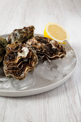 Fresh oysters on ice on a plate over white wooden surface, side view. Close-up.