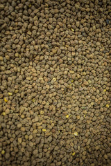 Closeup of organic grown chickpeas 