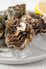 Fresh oysters on ice on a plate over white wooden background, side view. Close-up.