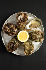 Fresh oysters on ice on a plate, overhead view. Flat lay, from above, top view. Close-up.
