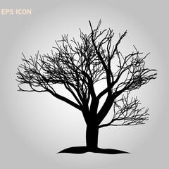 Tree icon. Forest symbol. Flat web sign on white background. Vector eps10