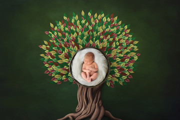 Autumn floral newborn portrait in basket round form. Calm baby art. Photo- manipulations