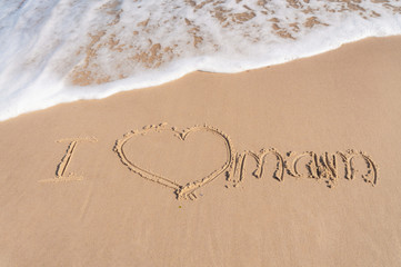 The inscription on the sea wet sand