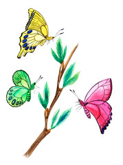 Three colorful abstract butterflies: yellow, pink, green around Brown branch with young spring  leaves. Hand-drawn watercolor illustration on white background.