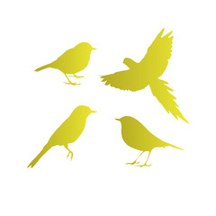 golden bird icon