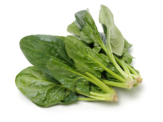 Spinach on a white background