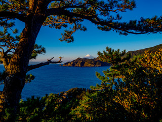 【伊豆半島ジオパーク】静岡県西伊豆黄金崎から見る富士山【冬】