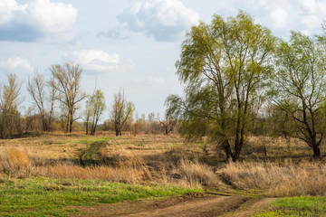 spring, all nature is just waking up, and not all trees have blossomed, the leaves
