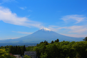 Fototapeta premium 御殿場からの富士山の風景