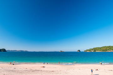 Chathdral cove, Coromandel, New Zealand North Island travelling destination in a beautiful day.