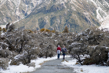 An elder couple trekking together on the track among the trees covered with a white snow. Mountain Cook National Park.