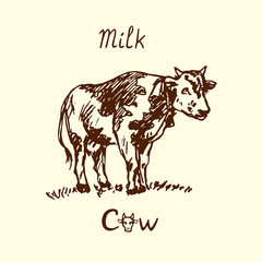 Cow standing, hand drawn doodle, sketch in pop art style, vector illustration