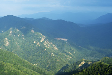 Mountain landscape and forest aerial view