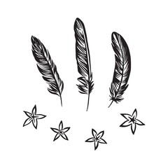 Hand drawn feathers and flowers set outline sketch. Vector black ink drawing isolated on white background. Graphic illustration