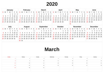 2020 a monthly calendar  with white background.